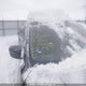 5N1AT2MV2KC777564 2019 Nissan Rogue S/Sl/Sv auction photo thumbnail 11