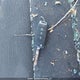 3KPFK4A79HE070882 2017 Kia Forte Ex/Ex Luxury/Ex+/Lx/Lx+ auction photo thumbnail 11