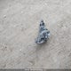 JF2SKEJC2LH501309 2020 Subaru Forester Touring auction photo thumbnail 12