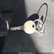 1C4AJWAG8HL729194 2017 Jeep Wrangler Sport auction photo thumbnail 11
