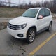 WVGJV7AX6DW528859 2013 Volkswagen Tiguan 2.0 Tsi Comfortline/2.0 Tsi Highline/2.0 Tsi Trendline auction photo thumbnail 2