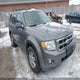 1FMCU0D76AKC20852 2010 Ford Escape Xlt auction photo thumbnail 1