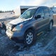 5J6RE48599L801242 2009 Honda Cr-V Ex auction photo thumbnail 3