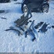 KL8CD6SA0KC723433 2019 Chevrolet Spark auction photo thumbnail 12