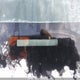 2T1KE4EE3AC031479 2010 Toyota Corolla Matrix S auction photo thumbnail 20