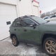 2T3RWRFVXSW291859 2025 Toyota Rav4 Xle/Woodland Edition auction photo thumbnail 13