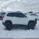 1C4PJMBS7GW354526 2016 Jeep Cherokee auction photo thumbnail 14