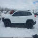 1C4PJMBS7GW354526 2016 Jeep Cherokee auction photo thumbnail 15