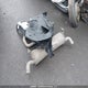 1C4PJMCS1GW150335 2016 Jeep Cherokee North auction photo thumbnail 12