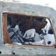 5GNEN13E498143293 2009 Hummer H3 auction photo thumbnail 5