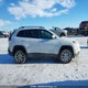 1C4PJMDS6FW613549 2015 Jeep Cherokee Limited auction photo thumbnail 13