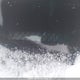 5FNYF8H96LB501144 2020 Honda Passport Touring auction photo thumbnail 19