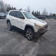 1C4PJMBB8HW609539 2017 Jeep Cherokee Trailhawk auction photo thumbnail 1