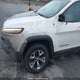 1C4PJMBB8HW609539 2017 Jeep Cherokee Trailhawk auction photo thumbnail 20