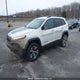 1C4PJMBB8HW609539 2017 Jeep Cherokee Trailhawk auction photo thumbnail 2