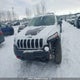 1C4PJMBX5JD616428 2018 Jeep Cherokee Trailhawk auction photo thumbnail 12