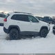 1C4PJMBX5JD616428 2018 Jeep Cherokee Trailhawk auction photo thumbnail 13