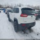 1C4PJMBX5JD616428 2018 Jeep Cherokee Trailhawk auction photo thumbnail 3
