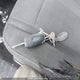 1FTFW1EF3GFA32590 2016 Ford F150 Supercrew auction photo thumbnail 11