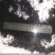 JTDKB20U887741565 2008 Toyota Prius auction photo thumbnail 20