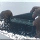 5NPDH4AE6DH214916 2013 Hyundai Elantra Gl auction photo thumbnail 17
