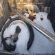 1GCUDDED5RZ239108 2024 Chevrolet Silverado K1500 Lt auction photo thumbnail 12