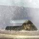 2GNFLFEK3E6155890 2014 Chevrolet Equinox 1Lt auction photo thumbnail 9