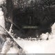 JN8AS5MT5CW255264 2012 Nissan Rogue S auction photo thumbnail 19