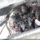 4F2CZ96G89KM04550 2009 Mazda Tribute S auction photo thumbnail 10