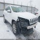 1C4PJMCS2GW196319 2016 Jeep Cherokee auction photo thumbnail 19