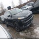 1C4PJLDS9GW294028 2016 Jeep Cherokee Limited auction photo thumbnail 13