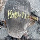 2BPSBB9C19V000272 2009 Skidoo Skidoo. auction photo thumbnail 10