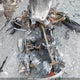 2BPSBB9C19V000272 2009 Skidoo Skidoo. auction photo thumbnail 11