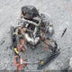2BPSBB9C19V000272 2009 Skidoo Skidoo. auction photo thumbnail 5