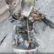 2BPSBB9C19V000272 2009 Skidoo Skidoo. auction photo thumbnail 7