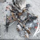 2BPSBB9C19V000272 2009 Skidoo Skidoo. auction photo thumbnail 9
