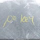 2T2HK31U07C034080 2007 Lexus Rx 350 auction photo thumbnail 11