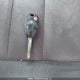 1FMCU0D7XAKD03846 2010 Ford Escape Xlt auction photo thumbnail 11