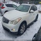 JN1AJ0HR0AM756042 2010 Infiniti Ex35 Journey auction photo thumbnail 2