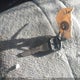 1GJHG39U831141928 2003 GMC Savana Sl/Sle auction photo thumbnail 11