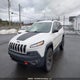 1C4PJMBS3GW365989 2016 Jeep Cherokee Trailhawk auction photo thumbnail 12