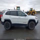 1C4PJMBS3GW365989 2016 Jeep Cherokee Trailhawk auction photo thumbnail 14