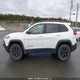 1C4PJMBS3GW365989 2016 Jeep Cherokee Trailhawk auction photo thumbnail 15