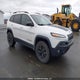 1C4PJMBS3GW365989 2016 Jeep Cherokee Trailhawk auction photo thumbnail 1