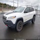 1C4PJMBS3GW365989 2016 Jeep Cherokee Trailhawk auction photo thumbnail 2