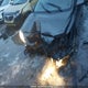 2T1BU4EE3AC431903 2010 Toyota Corolla Ce auction photo thumbnail 6