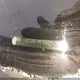 1GT12PEY1KF108259 2019 GMC Sierra 2500Hd auction photo thumbnail 19