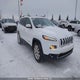 1C4PJMDS3EW262632 2014 Jeep Cherokee Limited auction photo thumbnail 1