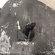 LCELVYZ89M6004976 2021 Cfmoto Cforce 800 Xc Lx auction photo thumbnail 11