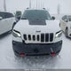 1C4PJMBX7LD558101 2020 Jeep Cherokee Trailhawk Elite auction photo thumbnail 12